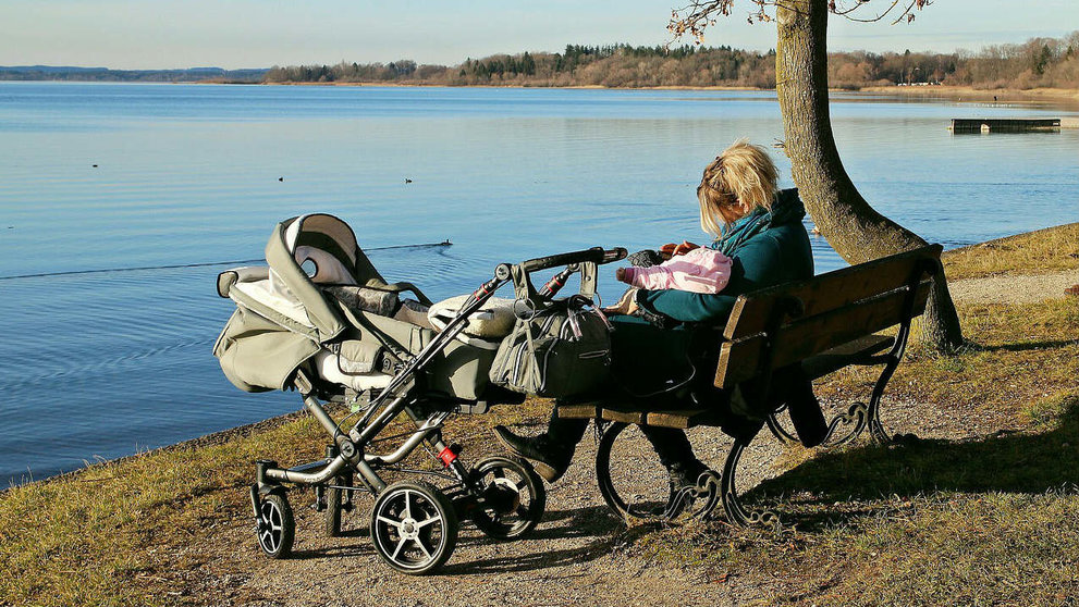 Mother baby carriage lake care