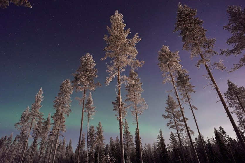 Aurora borealis. Photo: Vincent Guth/Unsplash.